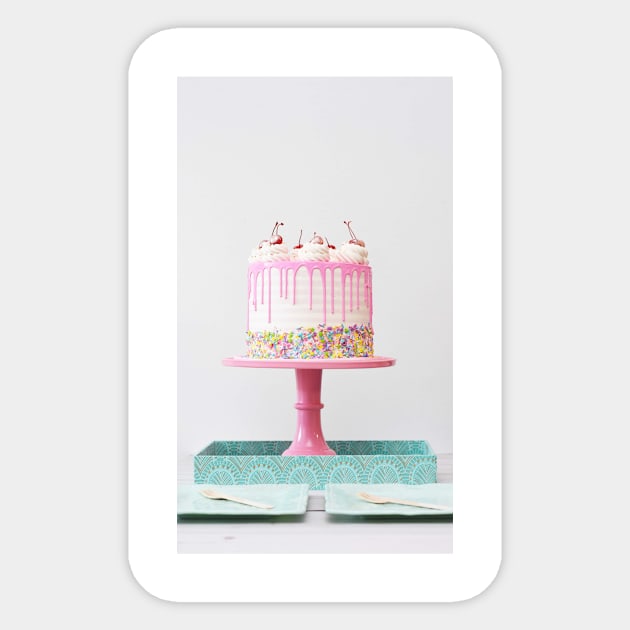 Fun Birthday Cake Sticker by NewburyBoutique